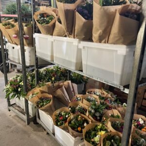 Wholesale - Box of Mixed Flower Bouquets (Small)